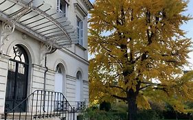 A L'Abri Du Ginkgo